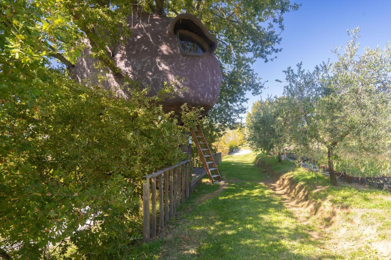 Odina Agriturismo Loro Ciuffenna Exterior foto