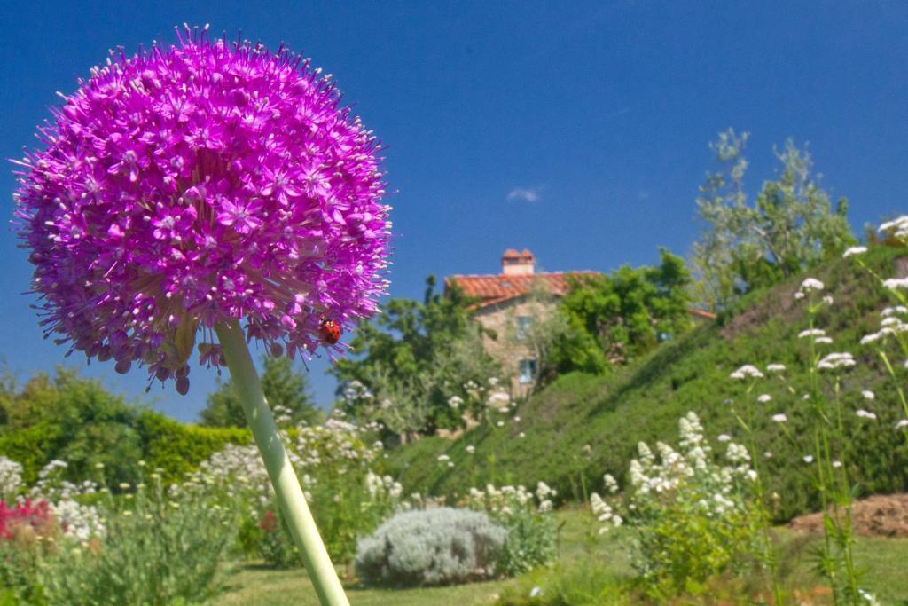 Odina Agriturismo Loro Ciuffenna Exterior foto